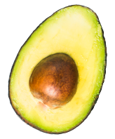 AguacateRomosHassSecond